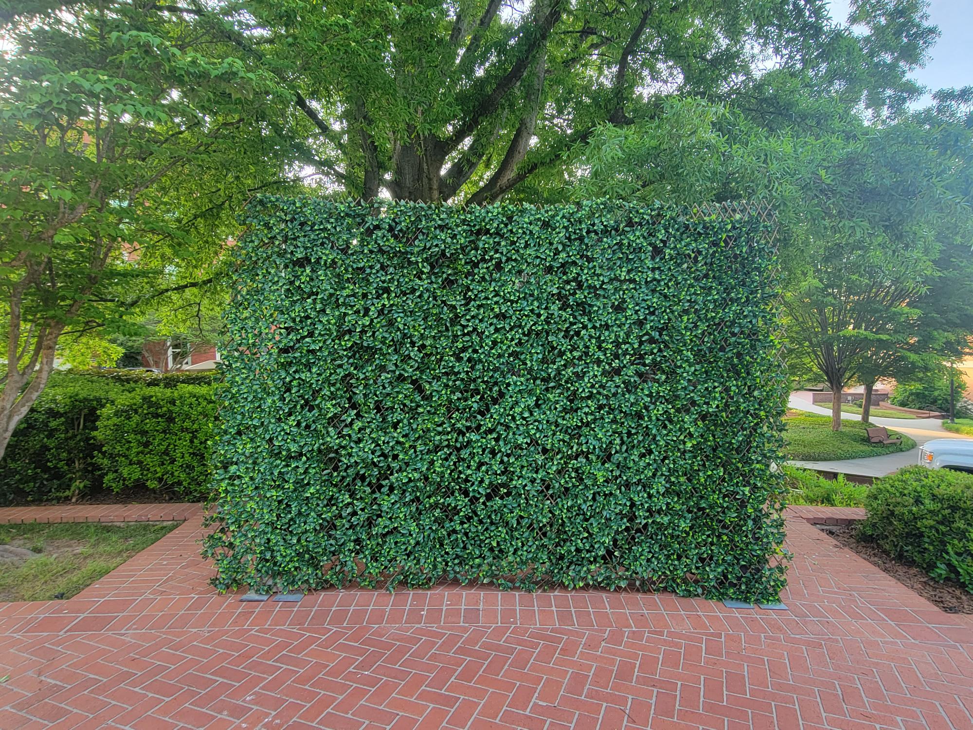 Rent the Greenery Wall Event Rentals